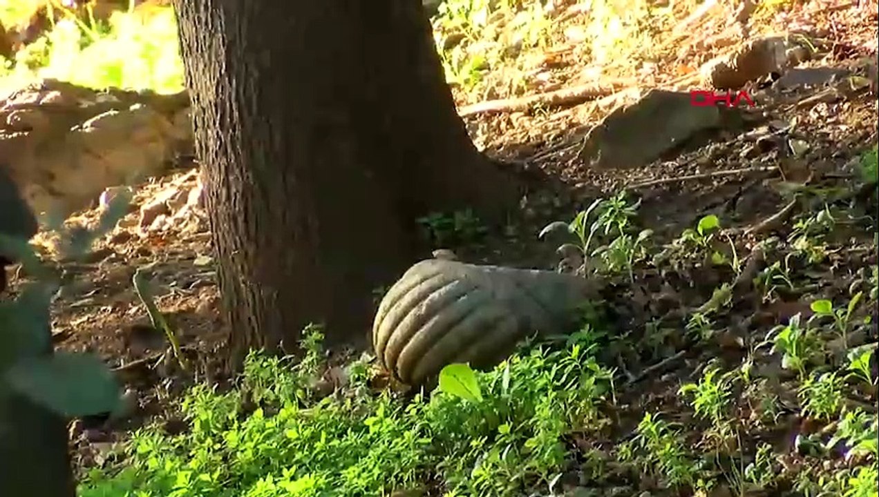 Beykoz'daki tarihi yeniçeri mezarları harabeye döndü!