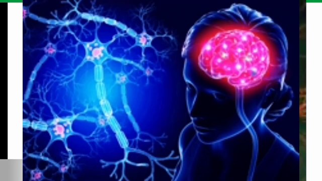 nervous tissue class 9 Biology in Urdu/ in Hindi | Animal cells | Lec#31 | cells and tissues | chp#4