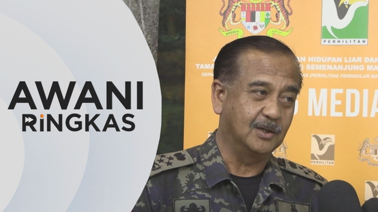 AWANI Ringkas: Dakwaan rakyat Malaysia jadi tentera upahan