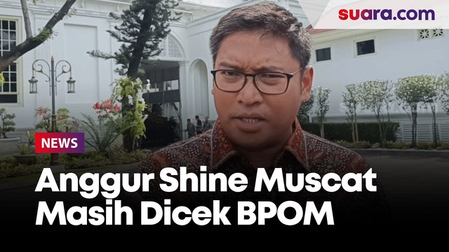 Masih Dicek BPOM, Kementan Siap Setop Impor Anggur Shine Muscat jika Memang Berbahaya