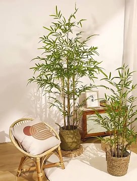 Thanh lý cây tre giả bảo hành 12 tháng, kích thước đa dạng, chất lượng đảm bảo, bảo hành 12 tháng | Liên hệ ngay