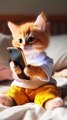 My Saudi cat  Cracked Screen Adventure_ From Oops to New Phone_ ✨_catshorts _cat _catcartoon(360P)