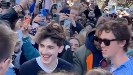 Who's the best Timothée Chalamet lookalike? 