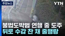 뒤로 수갑 찬 채...연행 도중 경찰 밀치고 '줄행랑' / YTN