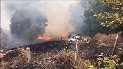 Fresagrandinaria, il piromane della Trignina colpisce ancora