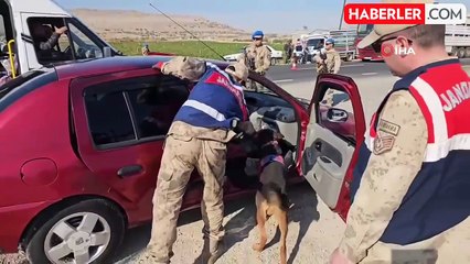 Diyarbakır'da Jandarma Denetiminde 8 Asker Kaçağı Tespit Edildi