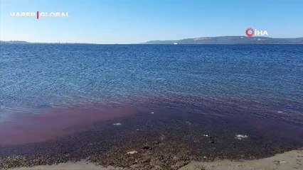 Çanakkale’de sahil kırmızıya boyandı