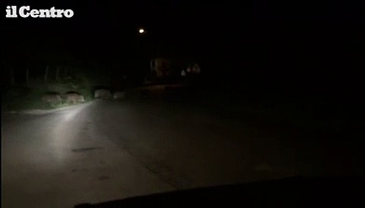 La "marcia" dei cinghiali a Giuliano Teatino