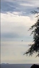 Terracina, caccia precipita durante l'air show