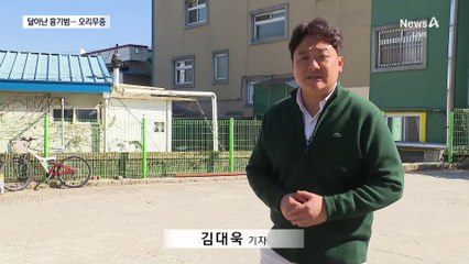 전화 끄고 걸어서 도주한 흉기범…경찰, 수배령 검토