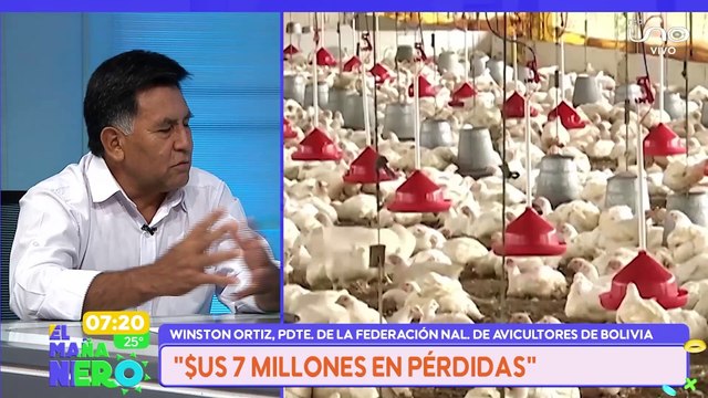 SCZ avicultores reportan grandes perdidas por los bloqueos; hay mortandad de gallinas