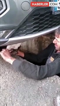Kilometrelerce yol gelmiş! Arabanın altından çıkanı görünce gözlerine inanamadı