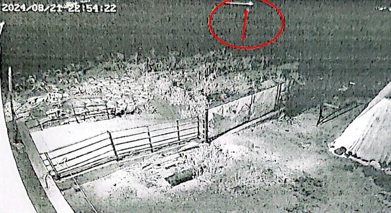 Narin’in kaybolduğu günün gecesi Salim Güran’ın aracının dere yatağındaki görüntüsü dava dosyasında