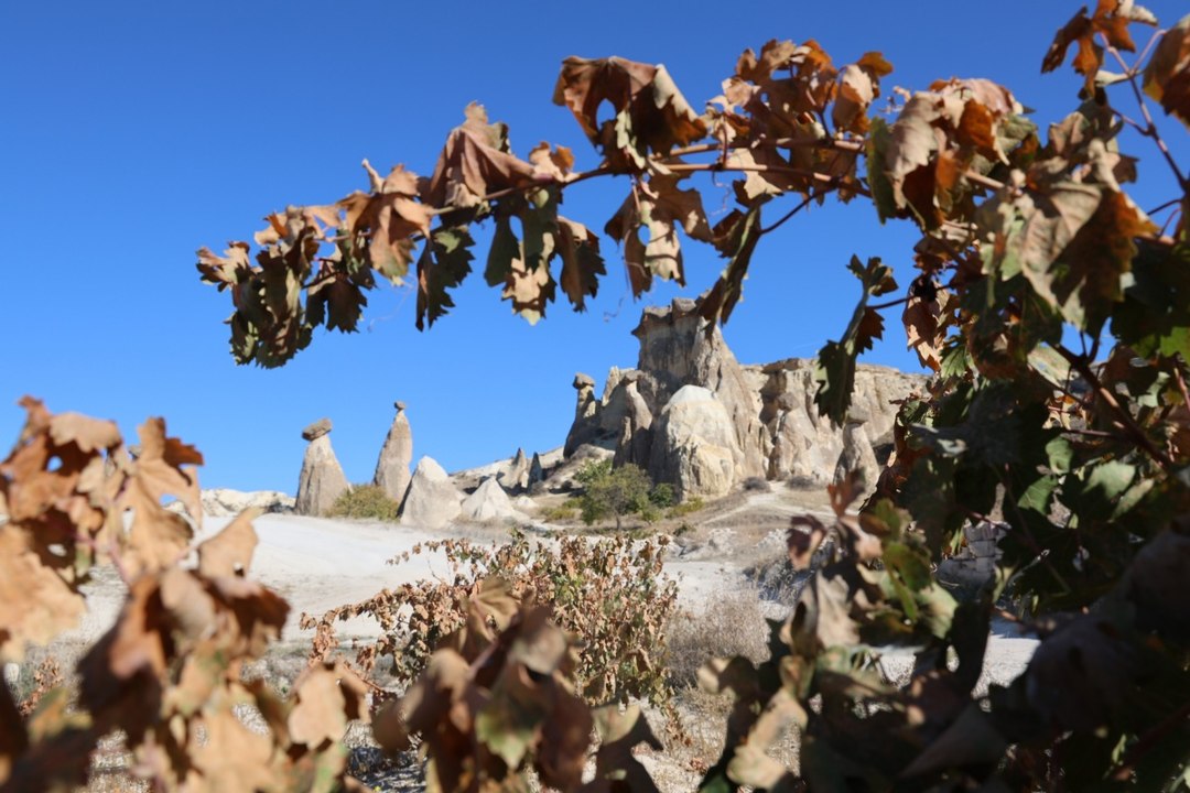 Masallar diyarı Kapadokya sonbaharın renklerine büründü!