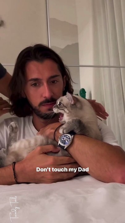 Don't Touch My Dad