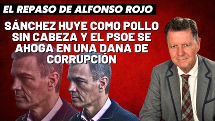 Alfonso Rojo: “Sánchez huye como pollo sin cabeza y el PSOE se ahoga en una DANA de corrupción”