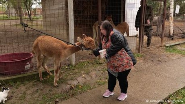 Der Hof, auf dem Menschen mit Behinderung Arbeit finden