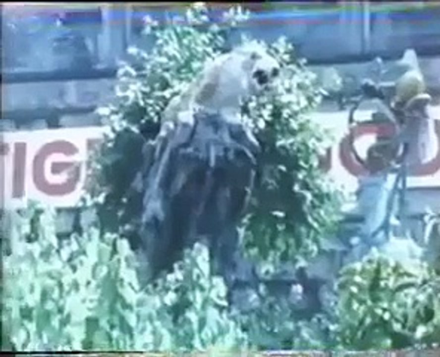 ⭐El dragón luchador (Películas de Artes Marciales) ESPAÑOL