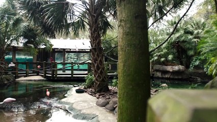 This Blind Otter Has Been On The Journey of a Lifetime