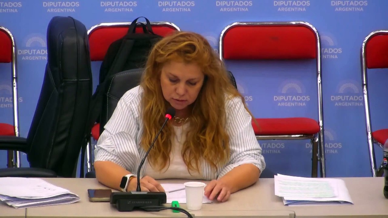 Banfi advirtió por el peligro de que el Poder Ejecutivo "colegisle" via DNU