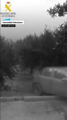 Las imágenes aéreas con cámara térmica de la Guardia Civil