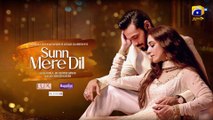 Sunn Mere Dil Episode 08 | khalil ur Rehman Qamar | 2024 Geo Entertainment | Urdu Drama | 2024 Drama