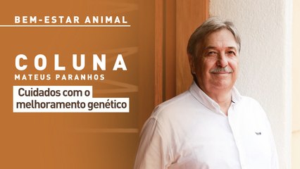 Bem-estar Animal:  cuidados com o melhoramento genético