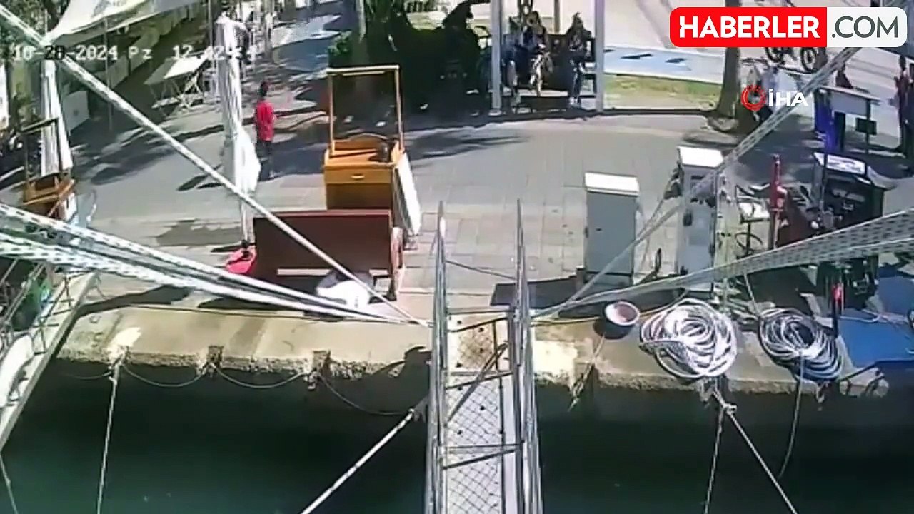 Fethiye'de Kurt Köpeğinin Polislere Saldırısı Kamerada