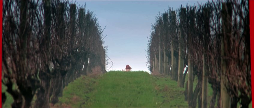 Heart Eyes Red Band Teaser Trailer (2025 Movie) Devon Sawa, Jordana Brewster