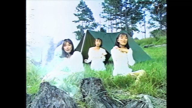 Tam Ca Áo Trắng - Cỏ hoa 19 [OFFICIAL MV] [4K HD REMASTERED]