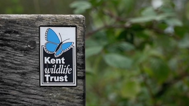 Break-ins wreck Sevenoaks nature reserve