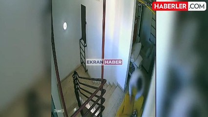 Sapığın böylesi: Apartmandaki kediye tacizde bulundu