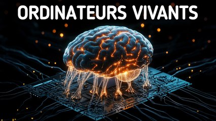Des Savants ont Créé un Ordinateur Ultra-Puissant à Partir de Cellules Humaines