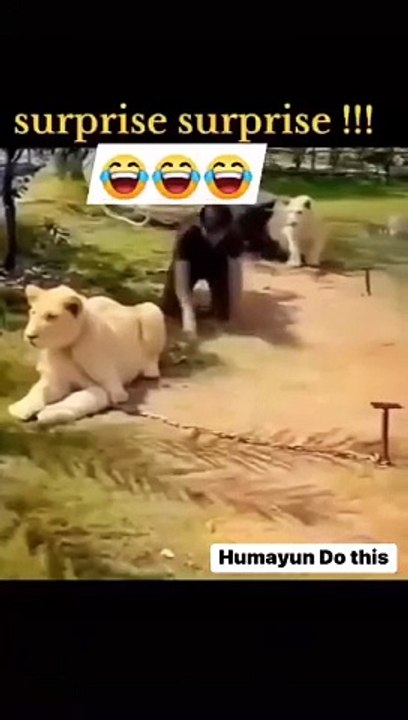 Funny boy 