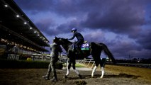 Exciting Weekend Breeders' Cup Preview: Expect Shahryar to Shine