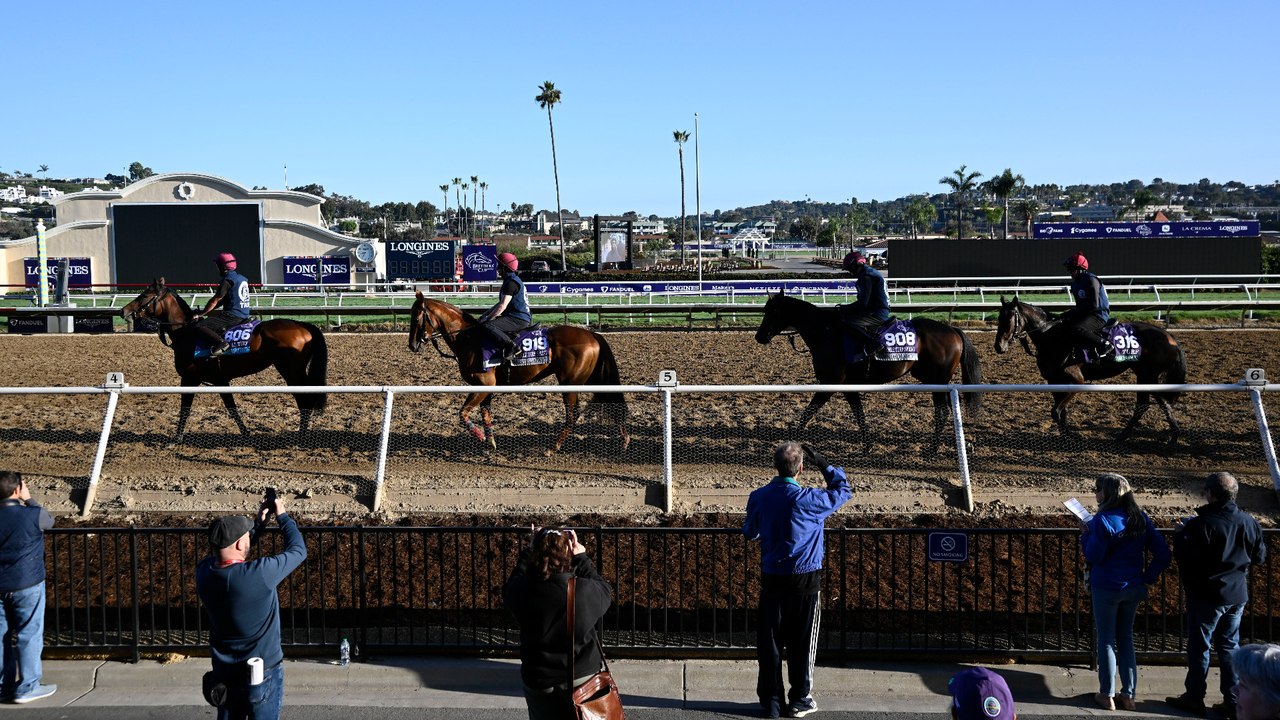 Exploring Breeders' Cup Juvenile Fillies: Betting on La Cara