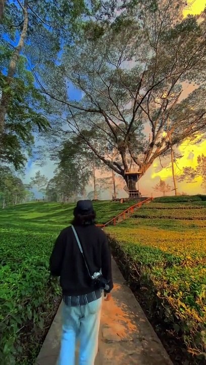  Rumah Peri Tambi Wonosobo Jawa Tengah