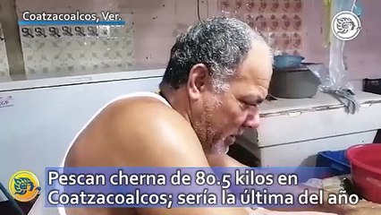Pescan cherna de 80.5 kilos en Coatzacoalcos; sería la última del año