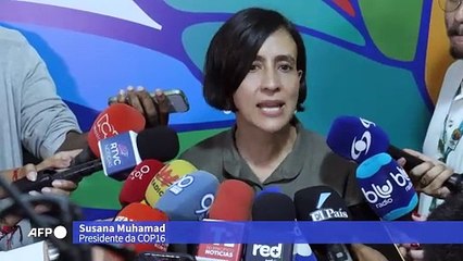 Tensão marca reta final da COP16, em Cali