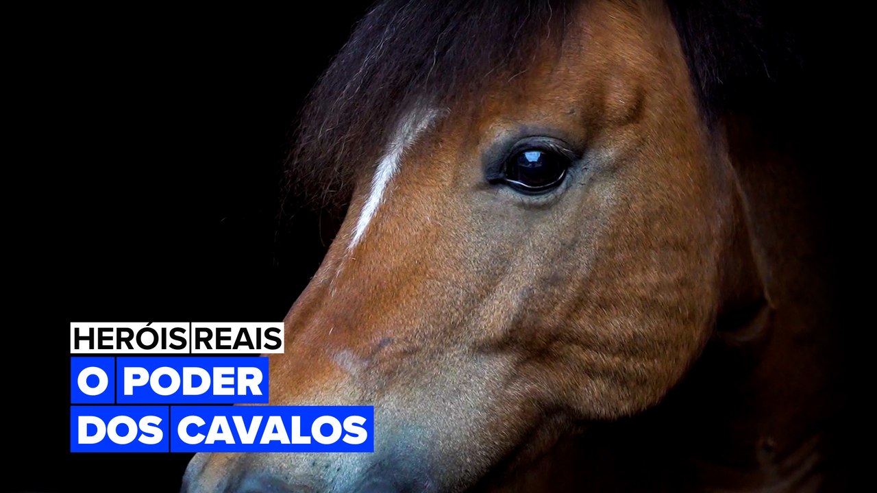 Heróis Reais: O Poder dos Cavalos