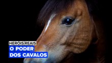 Heróis Reais: O Poder dos Cavalos