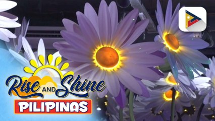 Art in Island Trick or Treat