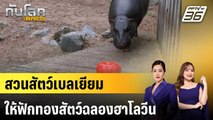 สวนสัตว์เบลเยียมให้ฟักทองสัตว์ฉลองฮาโลวีน | ทันโลก EXPRESS | 1 พ.ย. 67