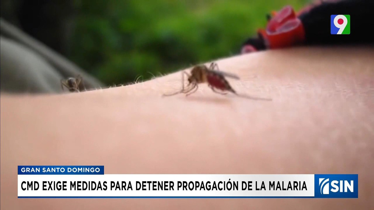 CMD dice vigilancia epidemiológica tras aumento de casos de malaria | Emisión Estelar SIN