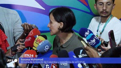 Tensión en la recta final de la COP16