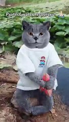 Stop Cleaning_✋ Let_s Save Our Dirty Rivers Now _catvideos _catmemes _trending(360P)
