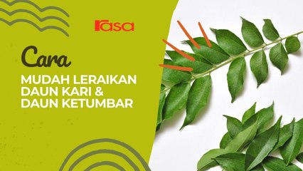 Cara Mudah Leraikan Daun Kari & Daun Ketumbar