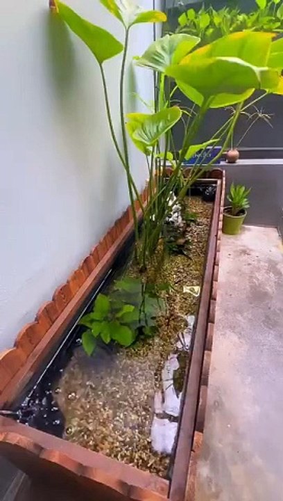 Kolam ikan hias