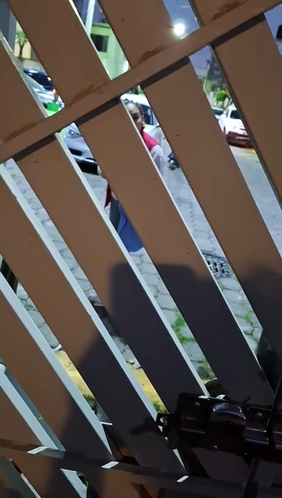 MIS VECINOS PELÍONEROS, Y CORRUPTOS... DE RTNO. VADUZ. CALLE BOSQUES DE EUROPA. BOSQUES DE ARAGON.