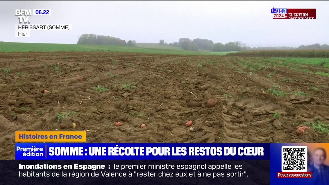 Grâce à cet agriculteur de la Somme, Les Restos du Cœur recevront 100 tonnes de pommes de terres